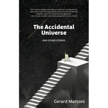 The Accidental Universe and Other Stories - Paperback