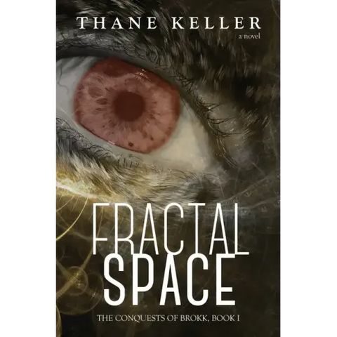 Fractal Space