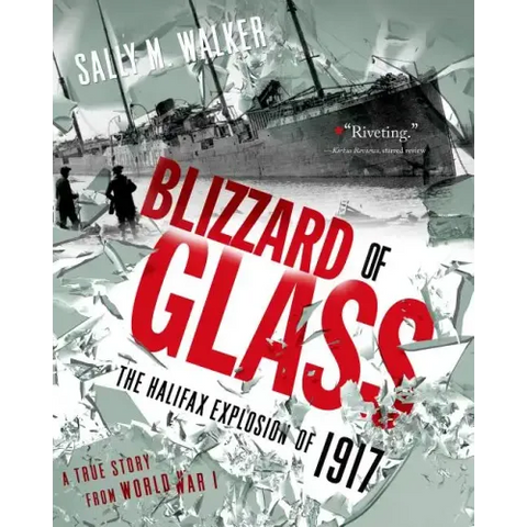Blizzard of Glass
