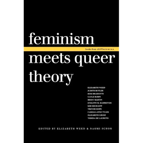 Feminism Meets Queer Theory