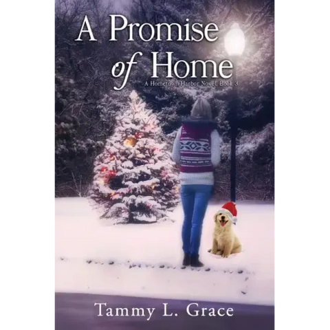 A Promise of Home: A Hometown Harbor Novel