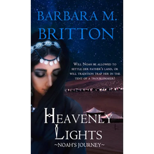 Heavenly Lights: Noah's Journey - Paperback