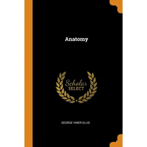 Anatomy