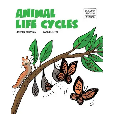 Animal Life Cycles
