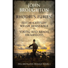 Rhodri's Furies: Ninth-century Welsh Resistance to Viking and Saxon incursions - Paperback