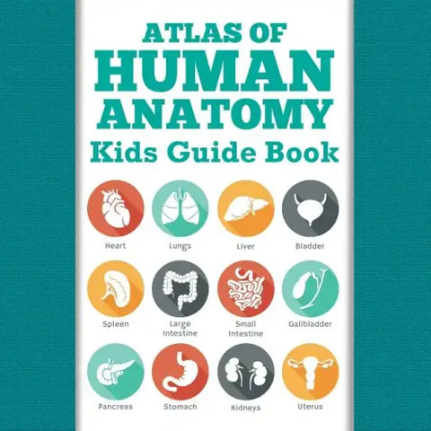 Atlas Of Human Anatomy: Kids Guide Book