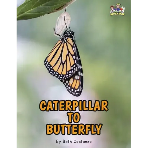 Letter C - Caterpillar to Butterfly for Kids 3-8