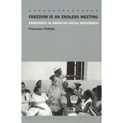 Freedom Is an Endless Meeting: Democracy in American Social Movements
