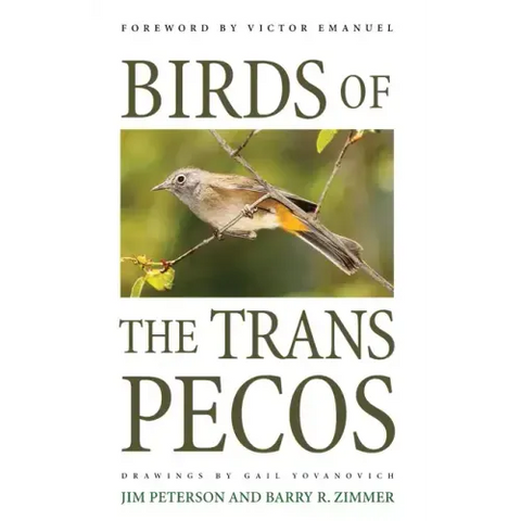 Birds of the Trans-Pecos