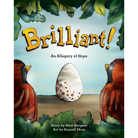Brilliant!: An Allegory of Hope (About Adoption & Fostering)
