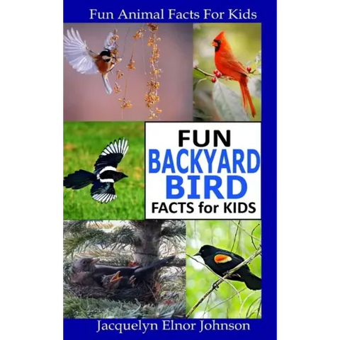Fun Backyard Bird Facts for Kids