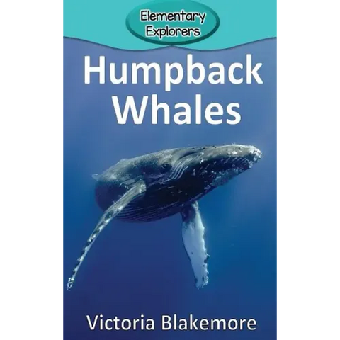 Humpback Whales