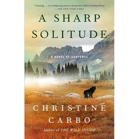 A Sharp Solitude: A Novel of Suspense