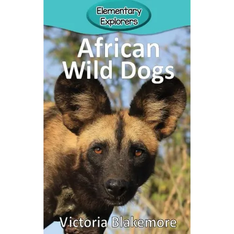 African Wild Dogs