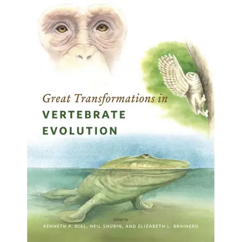 Great Transformations in Vertebrate Evolution