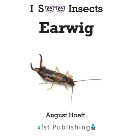 Earwig