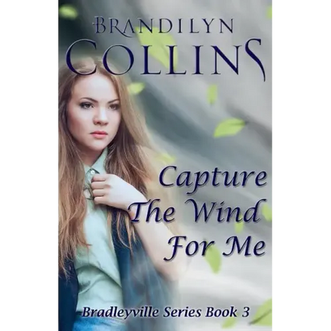 Capture The Wind For Me