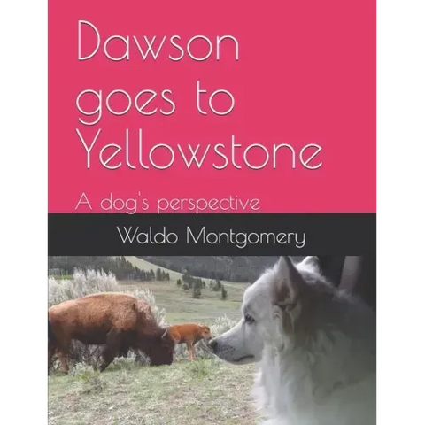 Dawson goes to Yellowstone