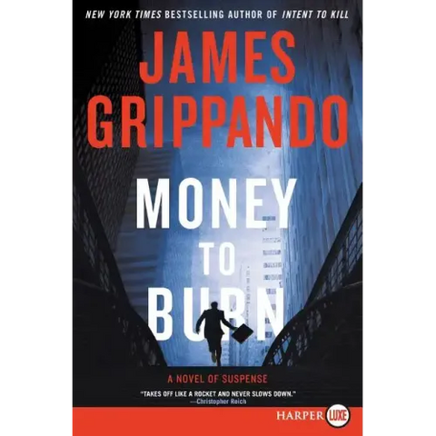 Money to Burn: A Novel of Suspense