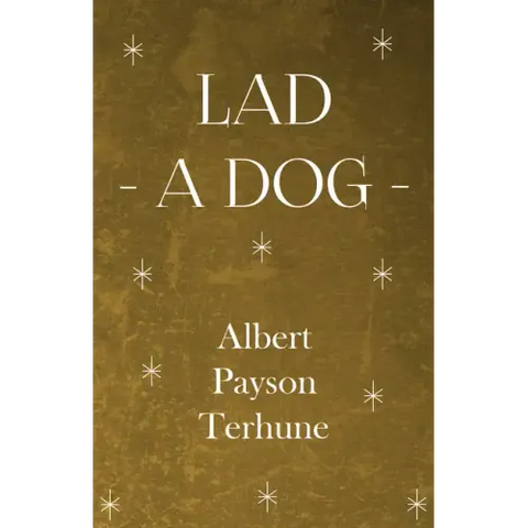 Lad - A Dog