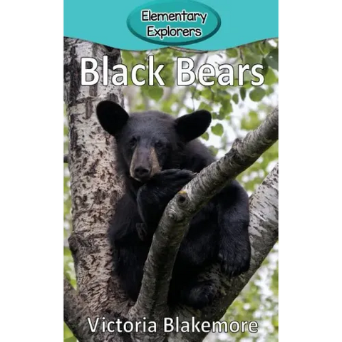 Black Bears