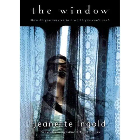The Window