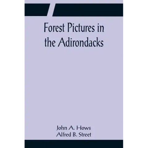 Forest Pictures in the Adirondacks