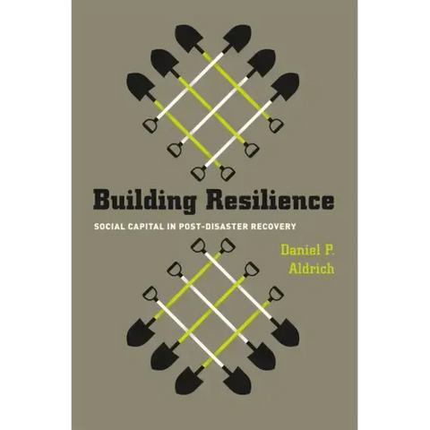 Building Resilience: Social Capital in Post-Disaster Recovery
