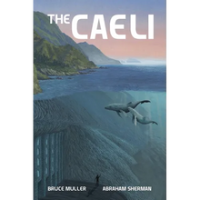 The Caeli: The Odyssey of Melamuri - Paperback