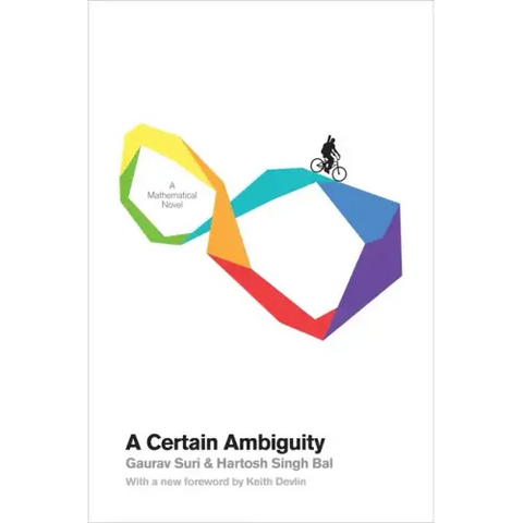 A Certain Ambiguity: A Mathematical Novel