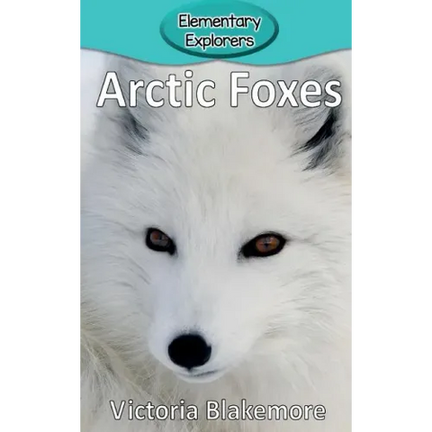 Arctic Foxes