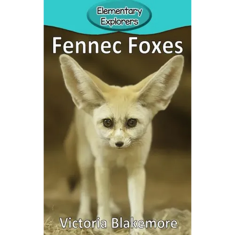 Fennec Foxes