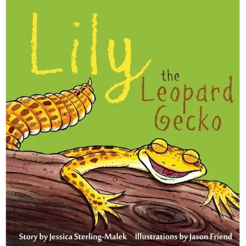 Lily the Leopard Gecko