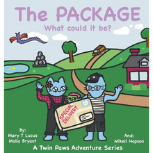 The Package: What could it be? - Hardcover