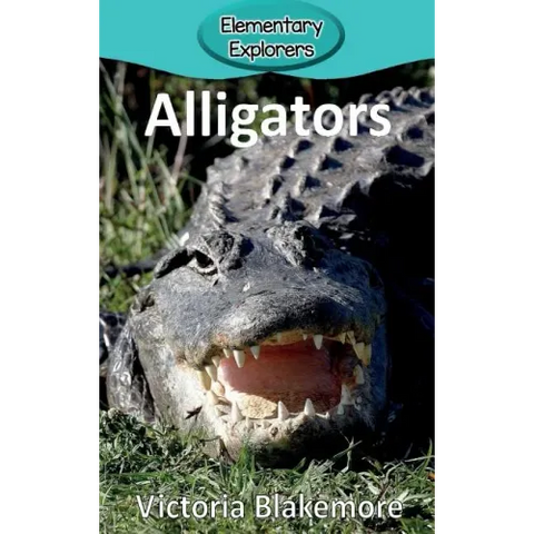 Alligators