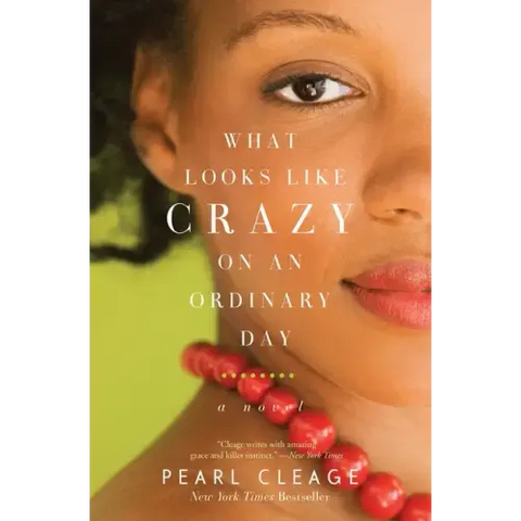 What Looks Like Crazy on an Ordinary Day