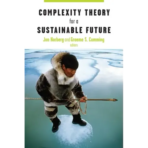 Complexity Theory for a Sustainable Future