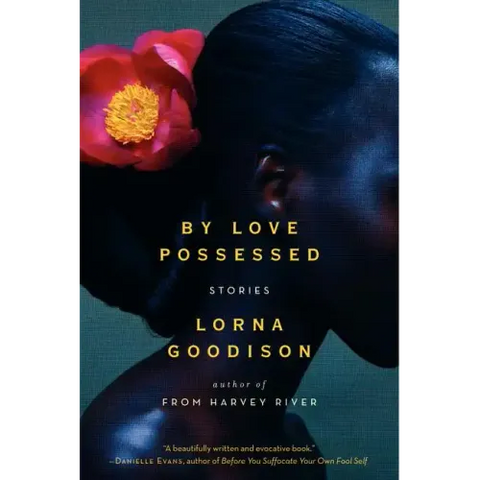 By Love Possessed: Stories