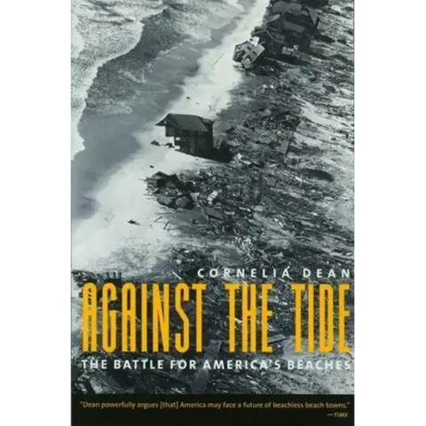 Against the Tide: The Battle for America's Beaches