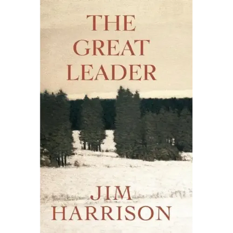 The Great Leader: A Faux Mystery