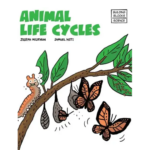Animal Life Cycles