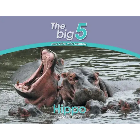 Hippo: The Big 5 and other wild animals