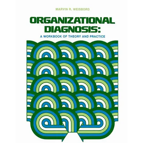 Organizational Diagnosis: A Workbook of Theory and Practice