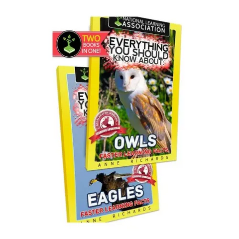 Everything You Should Know About: Owls and Eagles