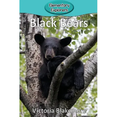 Black Bears