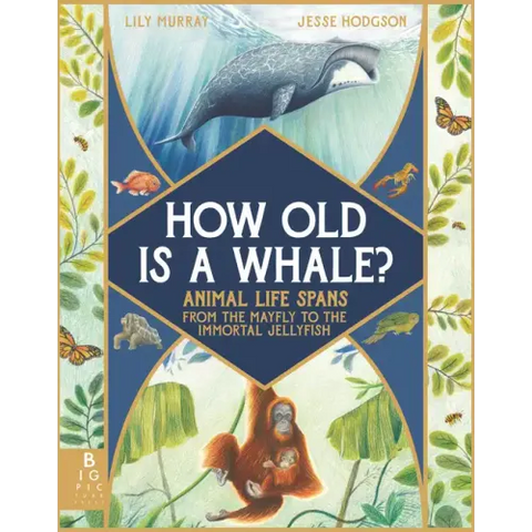 How Old Is a Whale?: Animal Life Spans from the Mayfly to the Immortal Jellyfish