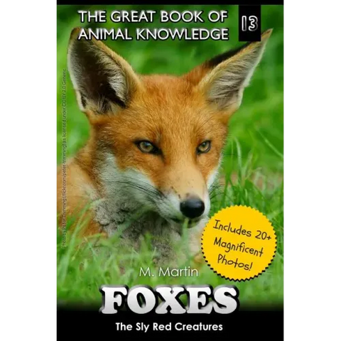 Foxes: The Sly Red Creatures