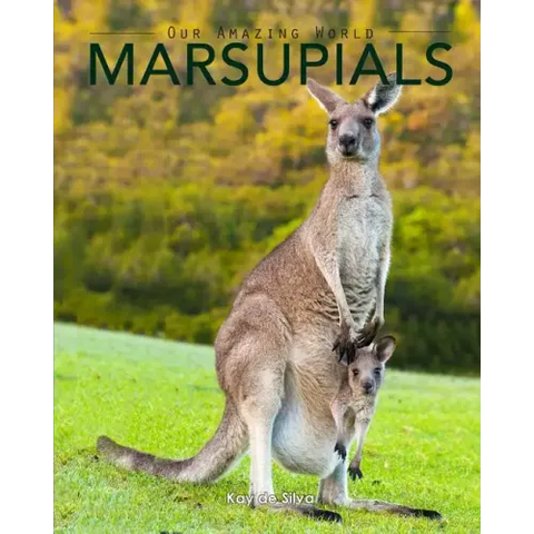 Marsupials: Amazing Pictures & Fun Facts of Animals in Nature