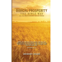 Biblical Prosperity The Bible Way