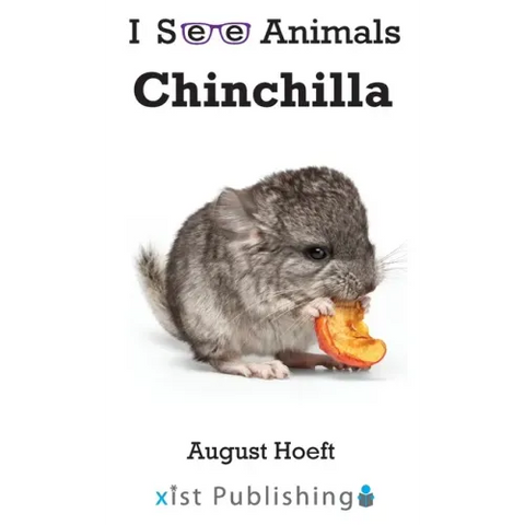 Chinchilla